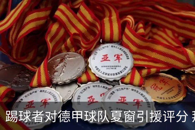 踢球者对德甲球队夏窗引援评分 拜仁第一多特第十