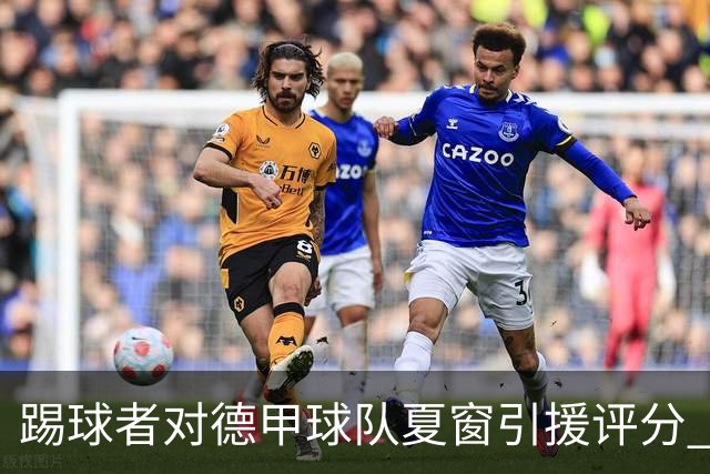 踢球者对德甲球队夏窗引援评分 拜仁第一多特第十